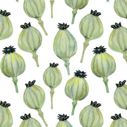 Avatar for user "rosynose"