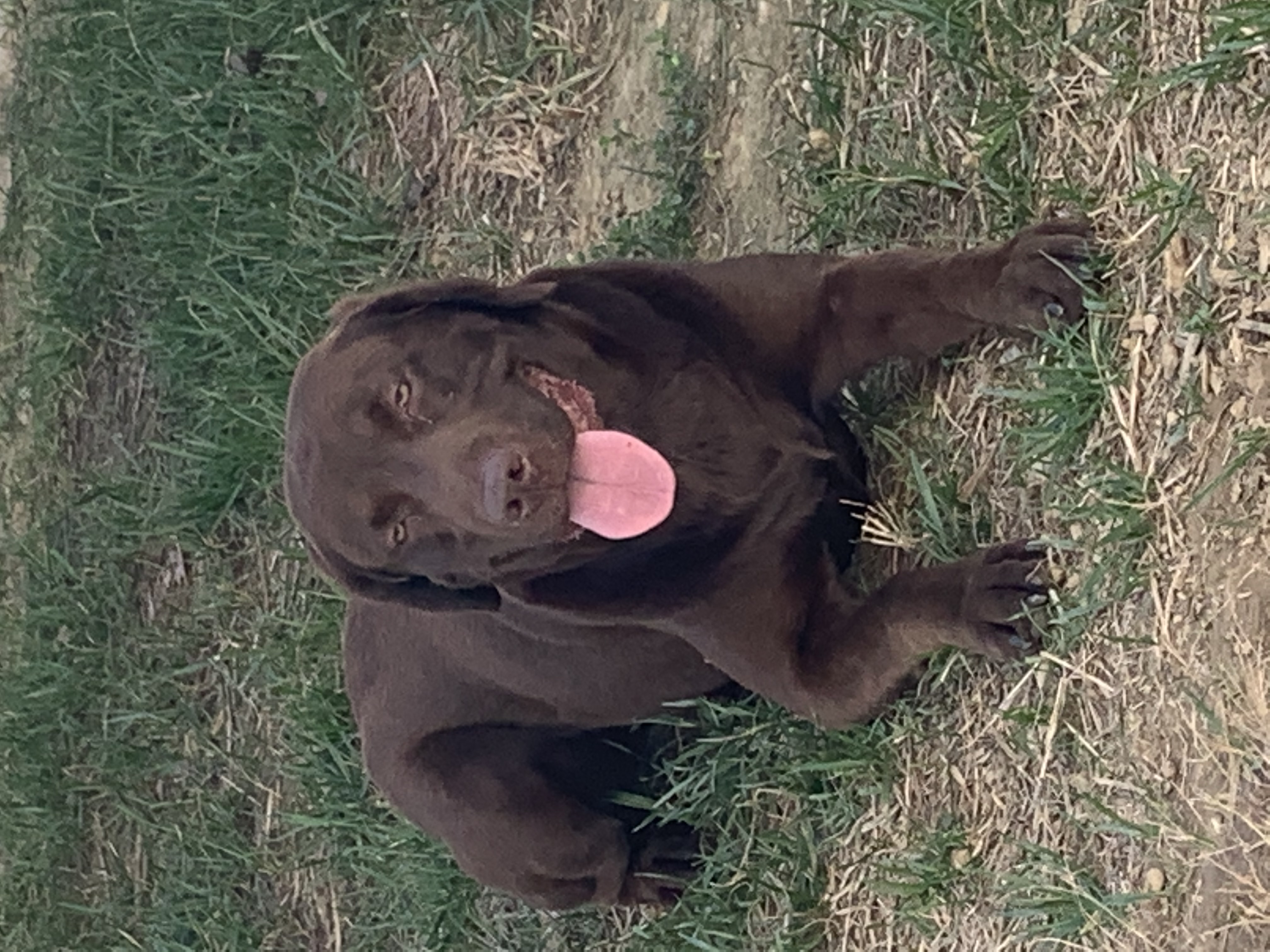 Avatar for user "edl"