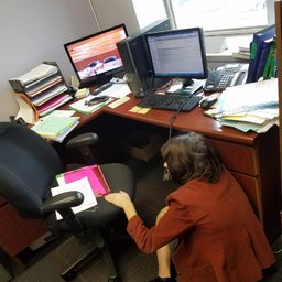 Avatar for user "kingvictorfox"