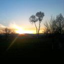 Avatar for user "bekimi"