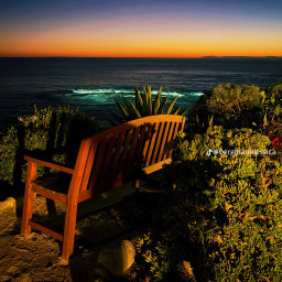 Avatar for user "rrrichy"