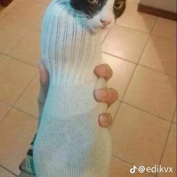 Avatar for user "witek"