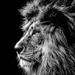 Avatar for user "ghost"