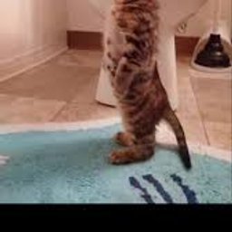 Avatar for user "julian"