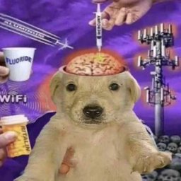 Avatar for user "creamerboysmells"