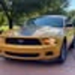 Avatar for user "jefferystricklin"