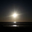 Avatar for user "kingcobra"