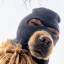 Avatar for user "anonymous21568"
