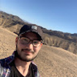 Avatar for user "arman"