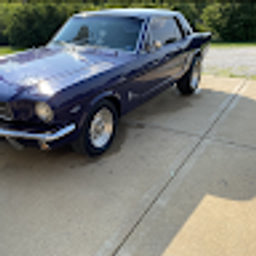 Avatar for user "tucker"