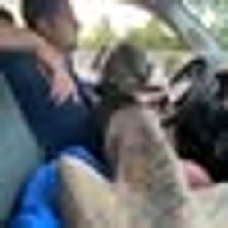 Avatar for user "brandonhite"