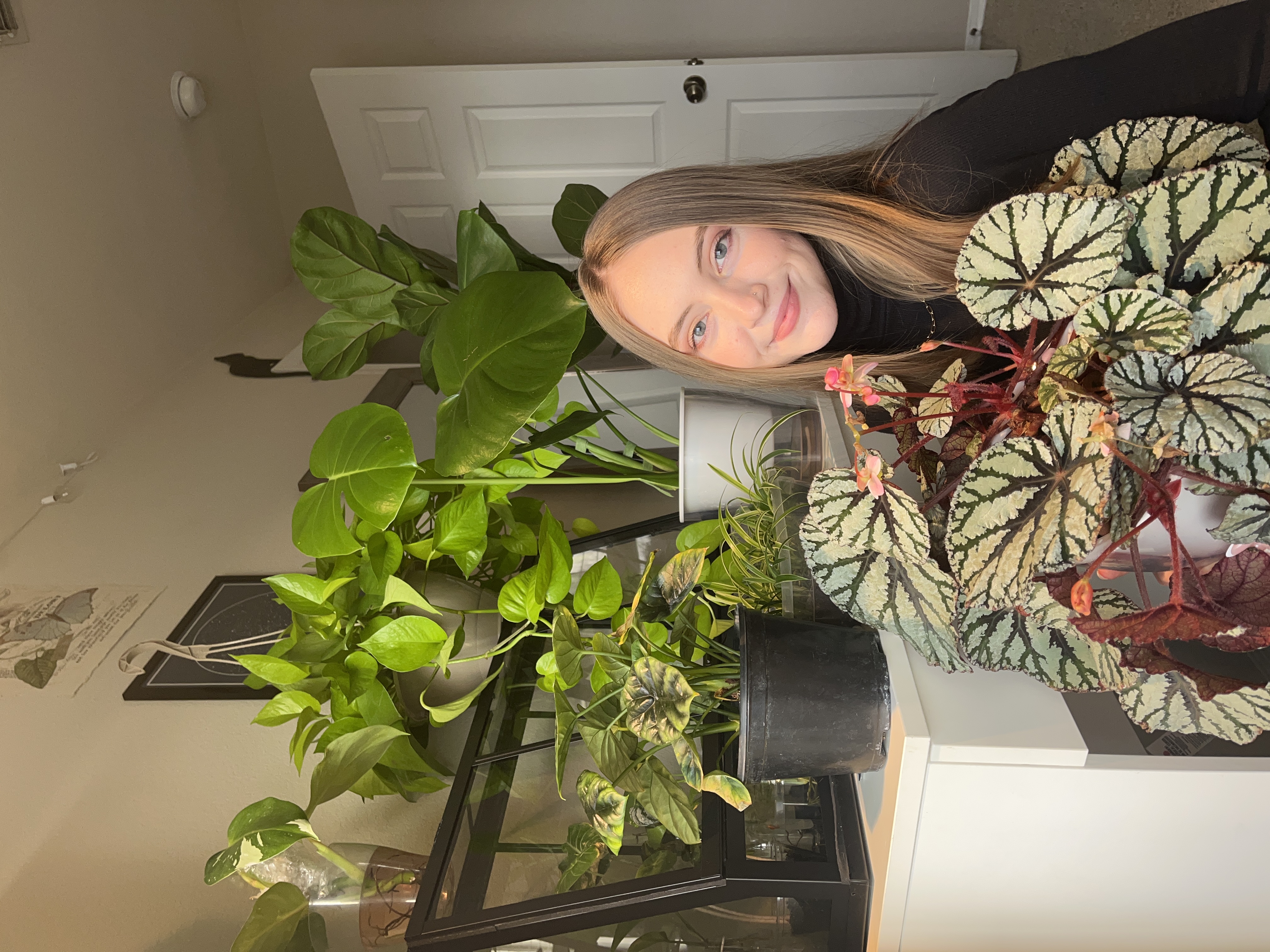 Avatar for user "sarahoffill"