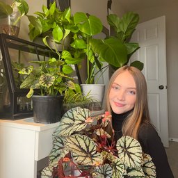 Avatar for user "sarahoffill"