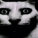 Avatar for user "alexr"