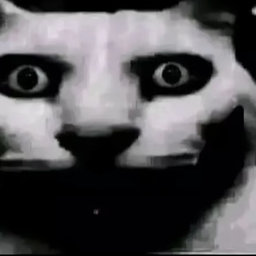 Avatar for user "alexr"