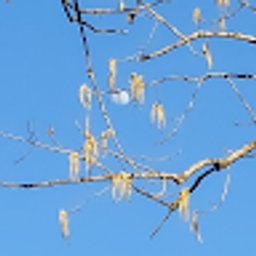 Avatar for user "dea"