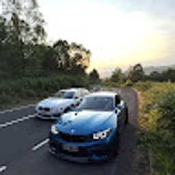 Avatar for user "gibbo02"