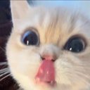 Avatar for user "alaric"