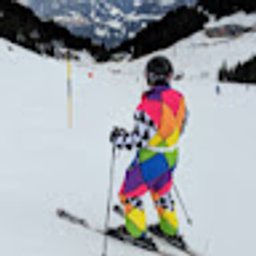 Avatar for user "polishgardner"