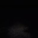 Avatar for user "ariel"