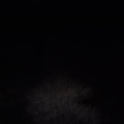 Avatar for user "ariel"