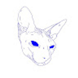 Avatar for user "khalid"