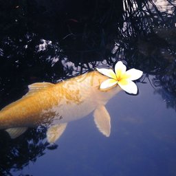 Avatar for user "bean17"