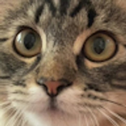 Avatar for user "jakenb"