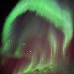 Avatar for user "monkey"