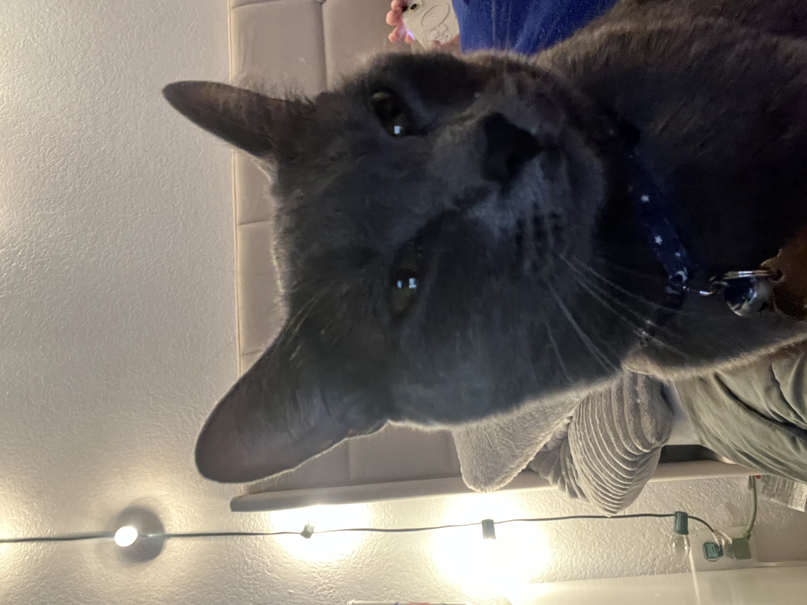 Avatar for user "soggy_toast"