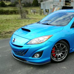 Avatar for user "oldognewtriks"