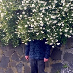 Avatar for user "wearescentient"