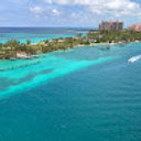 Avatar for user "hamedalkhamis"