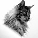 Avatar for user "weekizz"