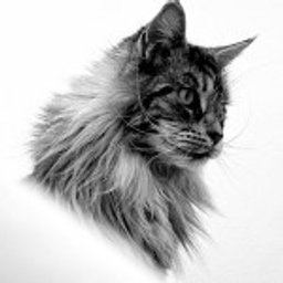 Avatar for user "weekizz"