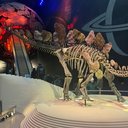 Avatar for user "raven"