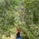 Avatar for user "mrsdice"