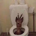 Avatar for user "nathancarpenter"