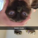 Avatar for user "logan"