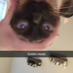 Avatar for user "logan"