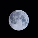 Avatar for user "lifini"