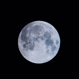 Avatar for user "lifini"