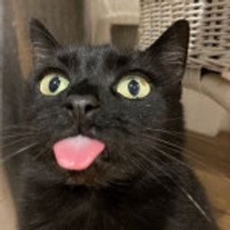 Avatar for user "rgh01"