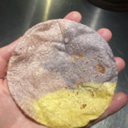 Avatar for user "tacoscent"