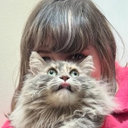 Avatar for user "brandttx"