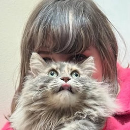 Avatar for user "brandttx"