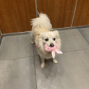 Avatar for user "quinn"