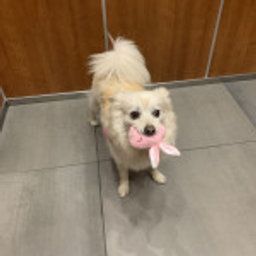 Avatar for user "quinn"