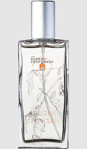 Picture of Autumn Harvest fragrance