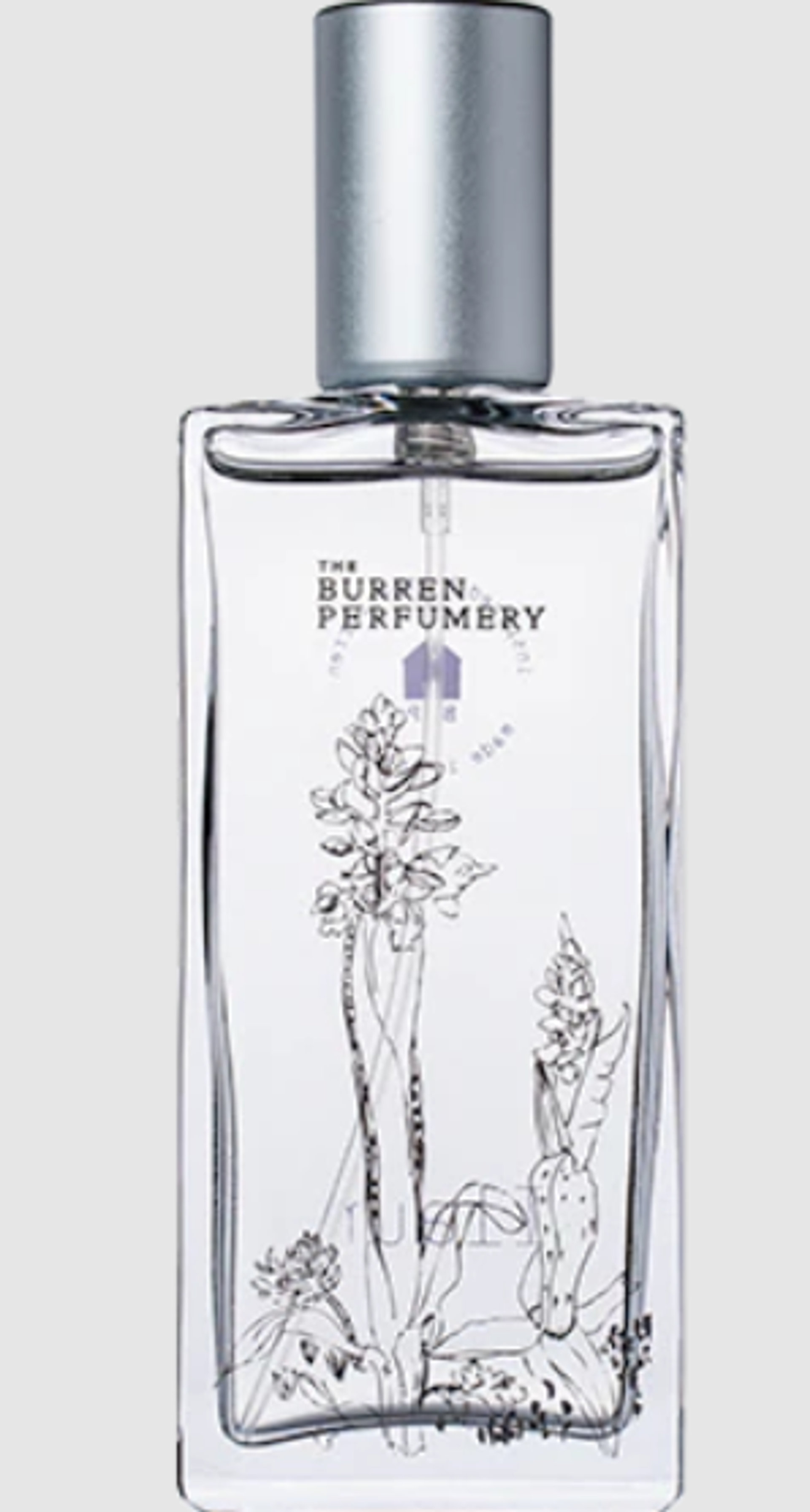 Picture of Ilaun fragrance